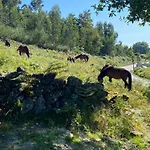 Cabaninha De Maior Cabana Maior