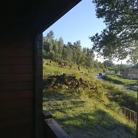 Cabaninha De Maior Cabana Maior