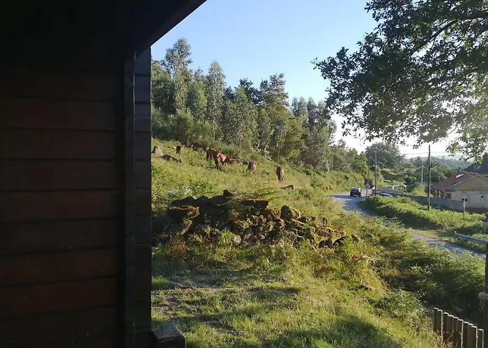 Cabaninha De Maior Cabana Maior