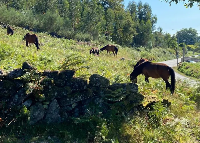 Cabaninha De Maior Cabana Maior